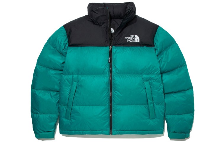 Коллекция 1996 года, пуховик мужской, зеленый The North Face, зеленый