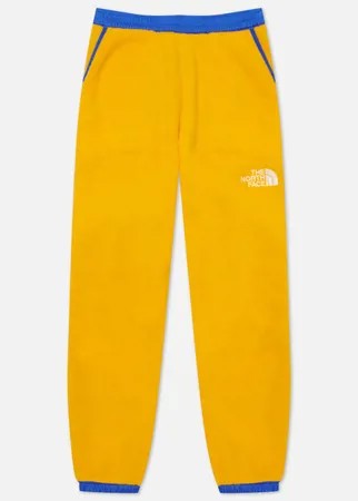 Мужские брюки The North Face Icon Fleece, цвет жёлтый, размер XL