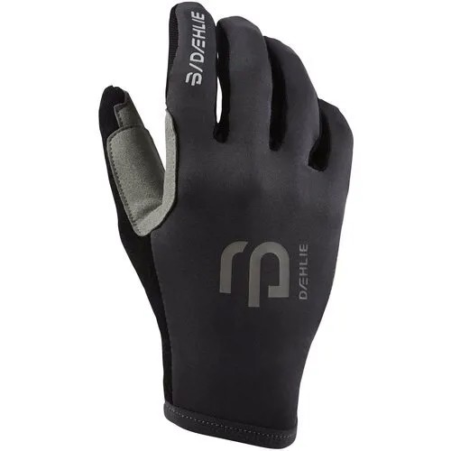 Перчатки Беговые Bjorn Daehlie 2021 Glove Summer Forged Iron (Us:m)