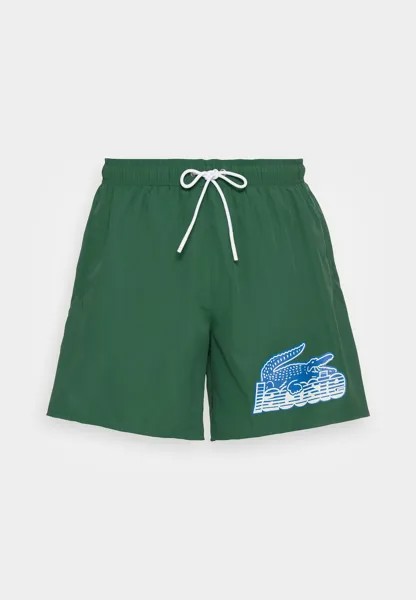Плавки Lacoste, зеленый