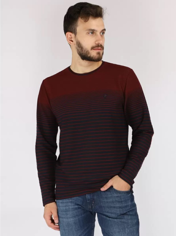 Лонгслив мужской A passion play 182TRXT-0058-1201 бордовый XXL