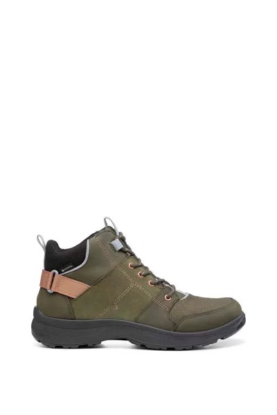 Прогулочные ботинки Trail GTX Hotter, зеленый