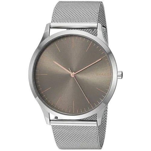 Наручные часы SKAGEN, серебристый