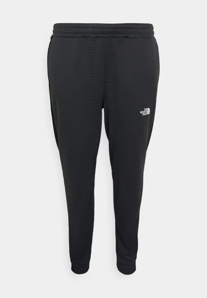 Спортивные брюки PLUS PANT The North Face, асфальтовый серый/черный