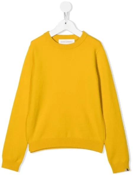 Extreme cashmere джемпер в рубчик, желтый
