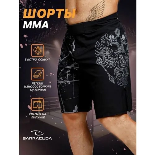 Шорты спортивные Barracuda, размер XXL, черный/серый