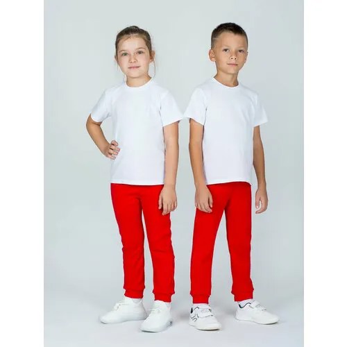 Брюки спортивные KiMMi & co, размер 60 (рост 110), красный