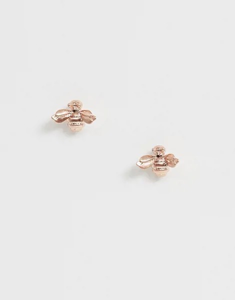 Серьги-гвоздики Ted Baker-Золотой