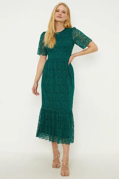 Платье миди из кружева с фестонами и рукавами ангела Oasis, зеленый