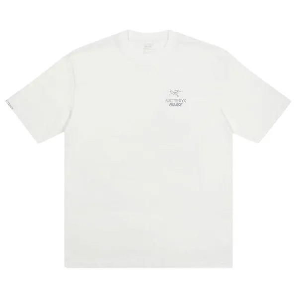 Футболка Palace x Arc'teryx T-Shirt 'White', белый