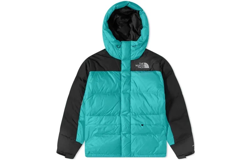 Пуховик мужской зеленый The North Face, зеленый