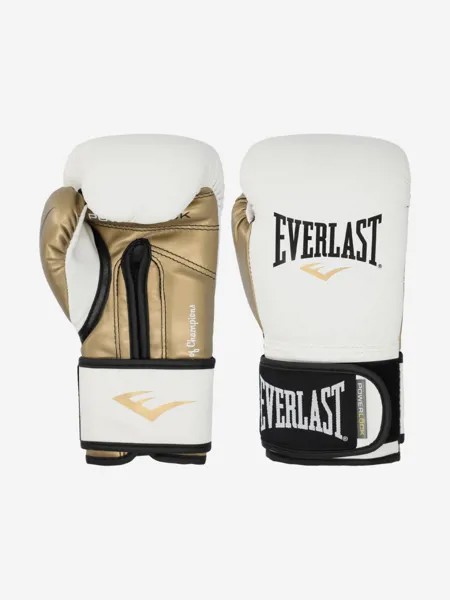 Перчатки тренировочные Everlast Powerlock PU, Мультицвет