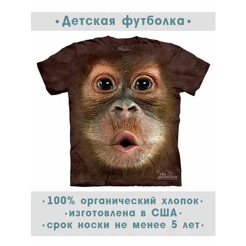 Футболка The Mountain, размер S-Y, коричневый
