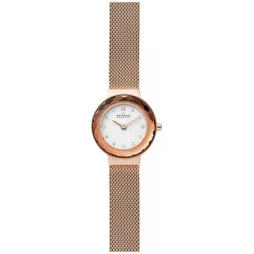 Наручные часы Skagen SKW2799