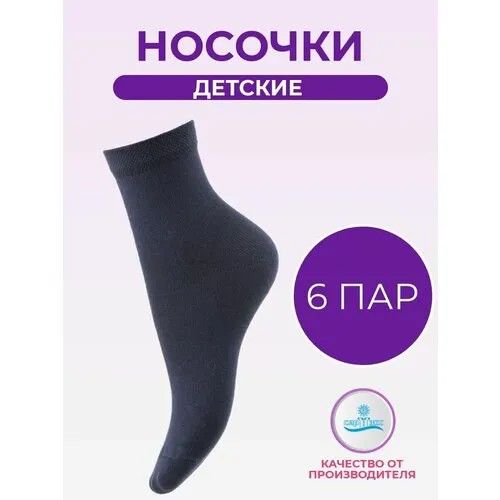 Носки САРТЭКС Базовая коллекция, 6 пар, размер 20/22, , синий