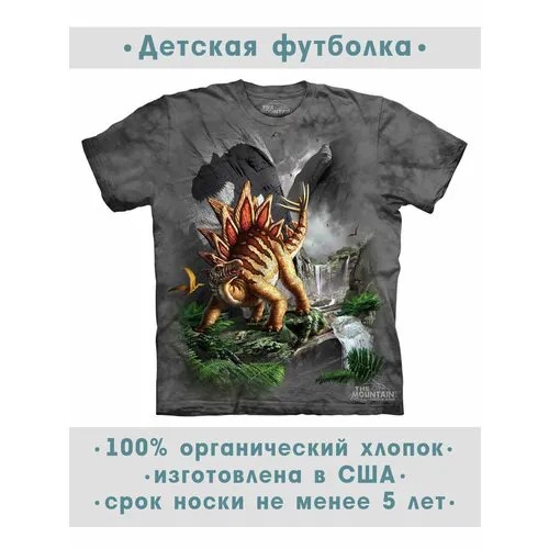 Футболка The Mountain, размер M-Y, серый