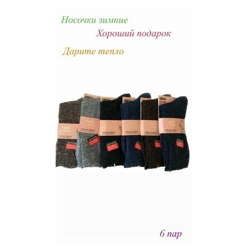 Мужские носки Твой стиль, 6 пар, размер 41-47, мультиколор