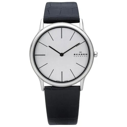 Наручные часы SKAGEN 858XLSLC, белый, черный