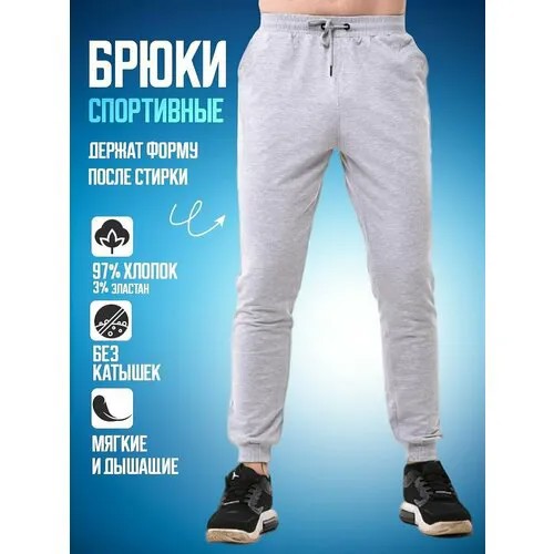 Брюки спортивные , размер 4XL/185 - 54, серый