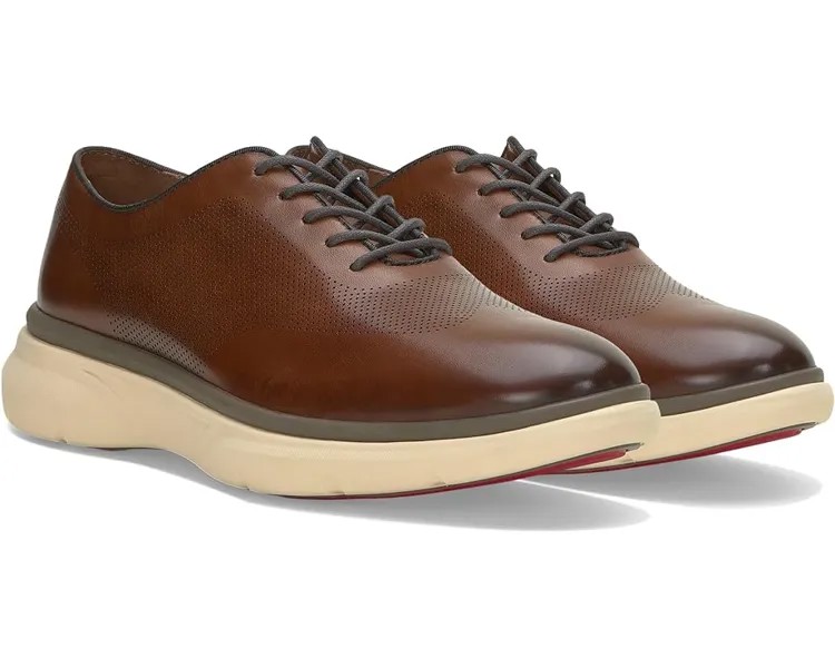 Оксфорды Vince Camuto Talmai Laser Wing Oxford, цвет Cuero