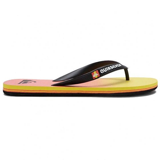 Шлепанцы Quiksilver