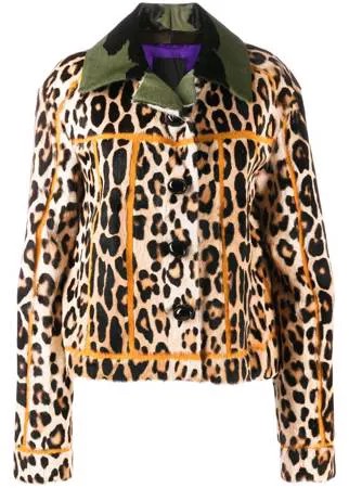 Liska куртка с леопардовым принтом