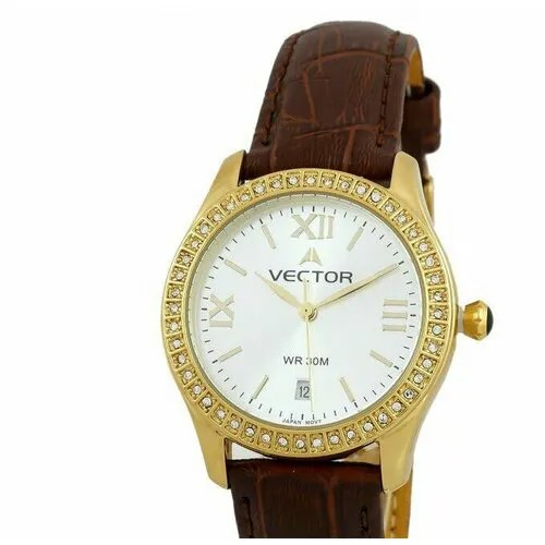 Наручные часы VECTOR Часы VECTOR VC9-0055938Q сталь, золотой