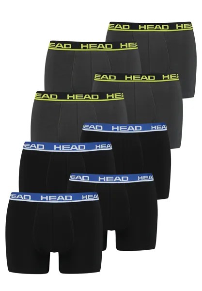 Боксеры HEAD Boxershorts Head Basic Boxer 8P, цвет Phantom Lime/Black Blue