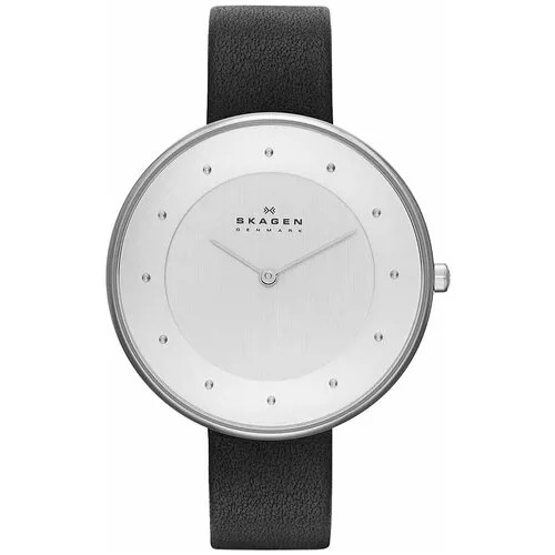 Наручные часы SKAGEN SKW2232, серый