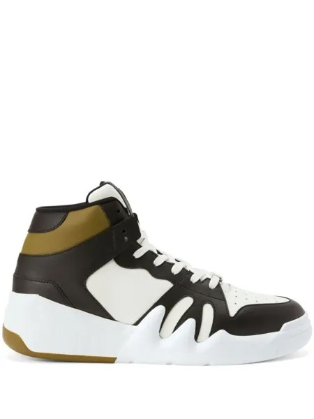 Кеды Giuseppe Zanotti Talon, хаки/черный/белый