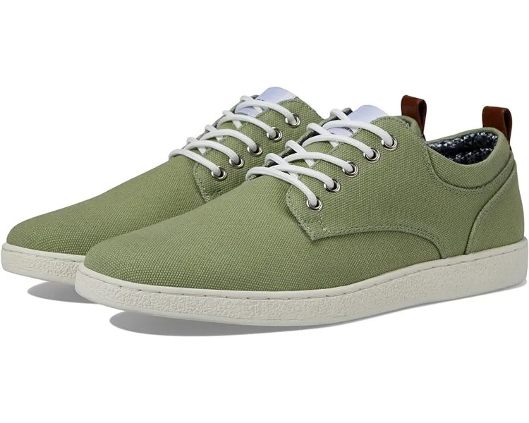 Кроссовки Steve Madden Mylles, цвет Green Canvas