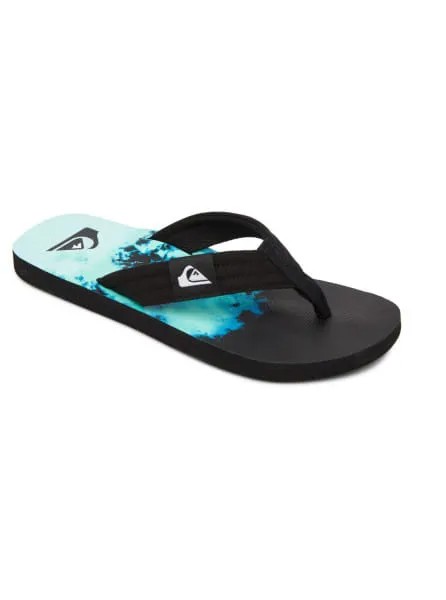 Вьетнамки мужские Quiksilver AQYL101182 голубые 39 RU