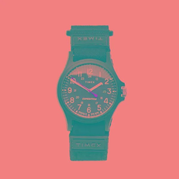 Наручные часы Timex Expedition Camper Acadia