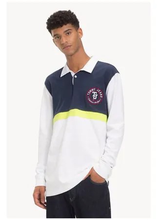 Лонгслив TOMMY HILFIGER DM0DM05908