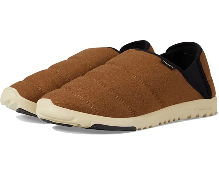 Слипперы Scout Slipper etnies, коричневый