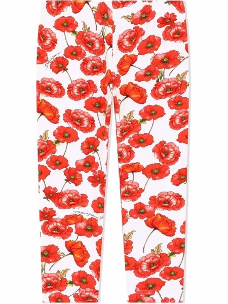 Dolce & Gabbana Kids легинсы с принтом