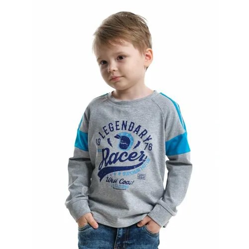 Лонгслив Mini Maxi, размер 98, серый