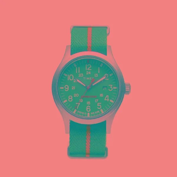 Наручные часы Timex Expedition North Sierra