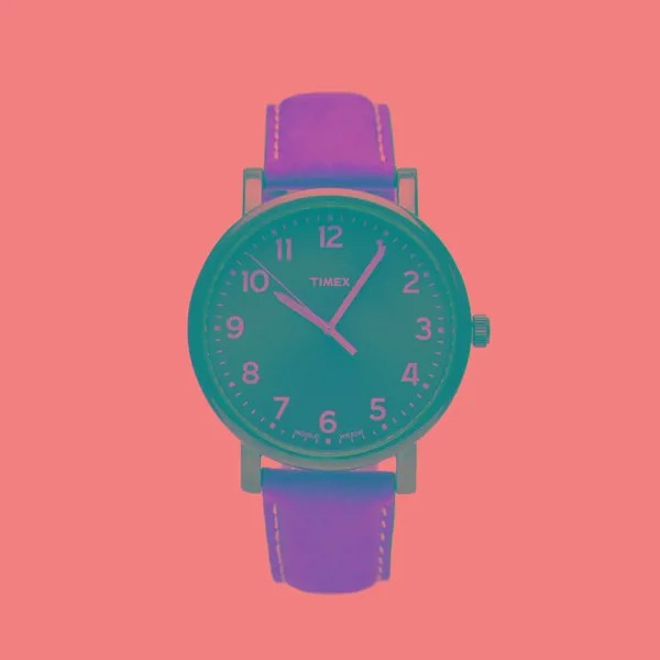 Наручные часы Timex