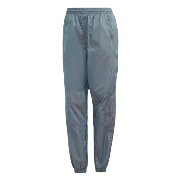 Спортивные брюки женские Adidas H35892 разноцветные 38