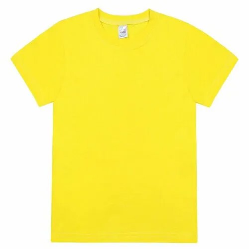 Футболка BONITO KIDS, размер 40/146, желтый