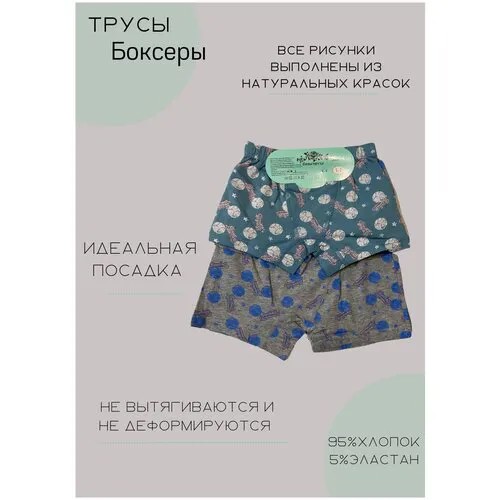 Трусы  Витаминка, 2 шт., размер 5-6 лет, бирюзовый