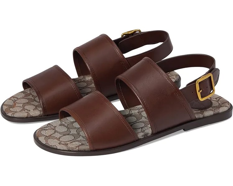 Сандалии COACH Leather Two Strap Sandal, коричневый