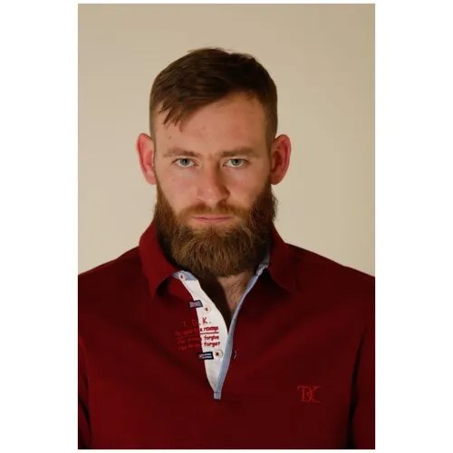 Поло ТД Коллекция, размер 3XL, темно-бордовый