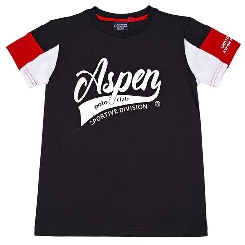 Футболка для мальчика Aspen Polo Club цвет черный 12 лет