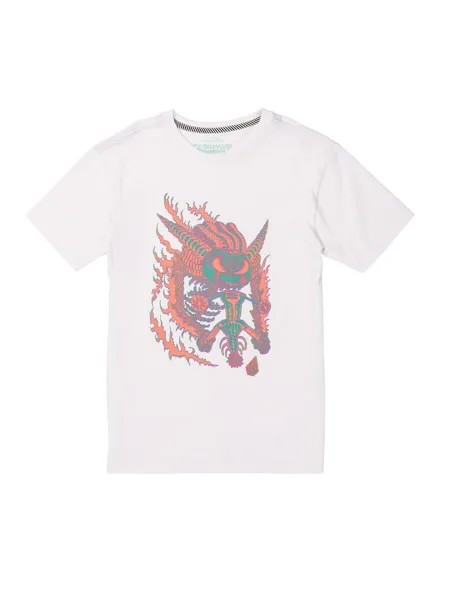 Футболка Volcom FA TETSUNORI SST 1, белый