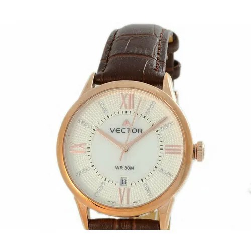 Наручные часы VECTOR Часы VECTOR VC9-0075968 сталь, золотой
