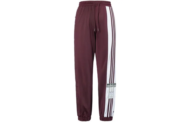 Adidas originals Женские трикотажные спортивные штаны, Фиолетовый