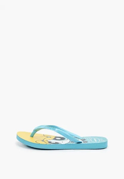 Сланцы Havaianas