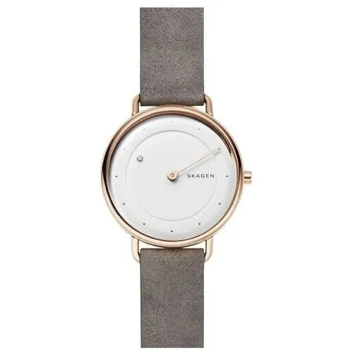 Наручные часы Skagen SKW2739